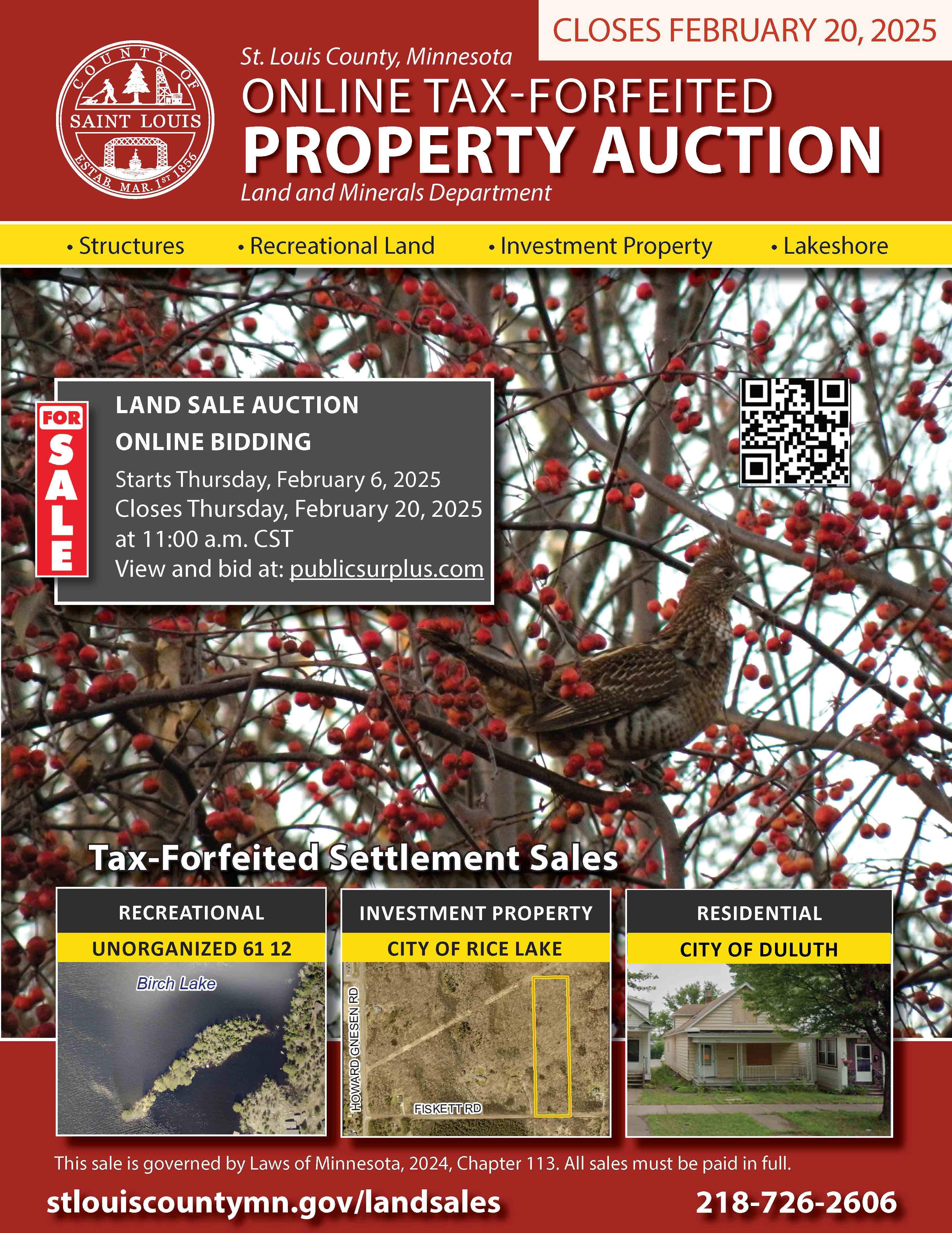 opens pdf of February 2025 tax-forfeited land settlement sale auction book